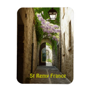 St Remy France Magnet