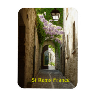 St Remy France Magnet