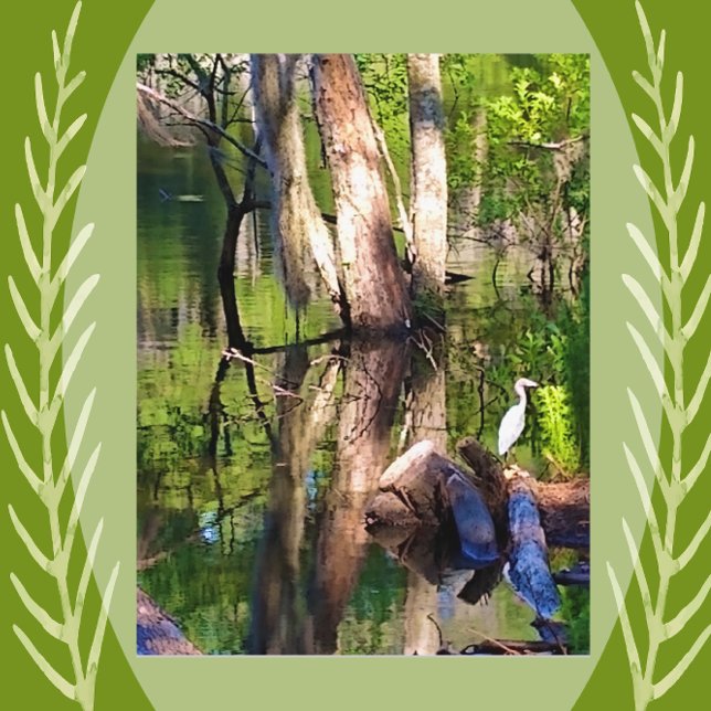St. Simons Island, GA Lagoon and Egret Postcard (Creator Uploaded)