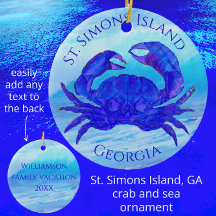 St Simons Island, Georgia Crab and Ocean Waves