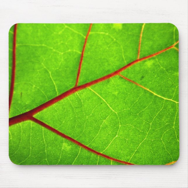 St. Thomas 1 Mouse Pad (Front)