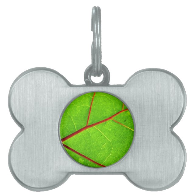 St. Thomas 1 Pet Name Tag (Front)