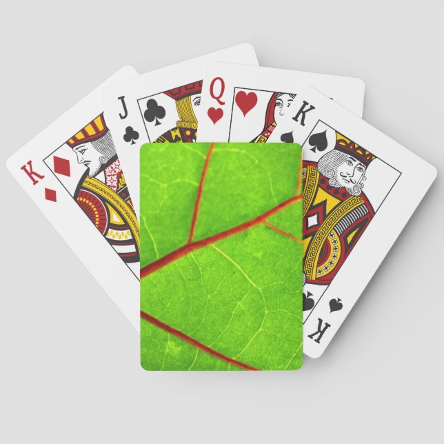 St. Thomas 1 Playing Cards (Back)
