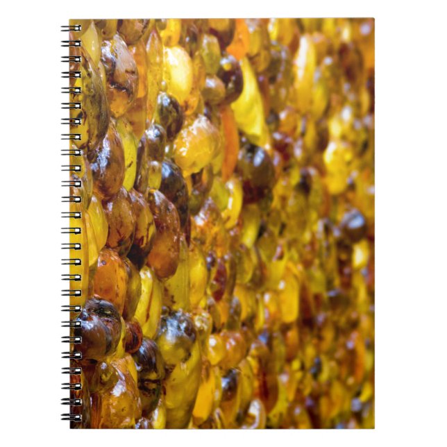 St. Thomas 2 Notebook (Front)