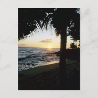 St. Thomas Beach Sunset Postcard
