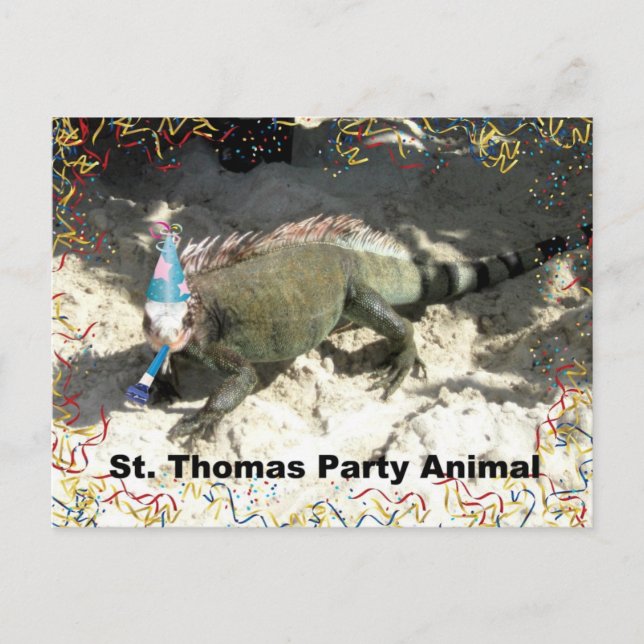St. Thomas Party Animal! Postcard (Front)