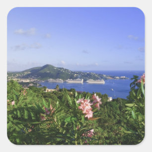 St. Thomas, US Virgin Islands. Charlotte Square Sticker