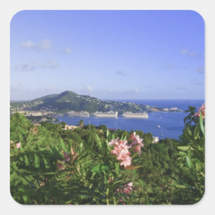St. Thomas, US Virgin Islands. Charlotte Square Sticker