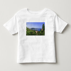 St. Thomas, US Virgin Islands. Charlotte Toddler T-Shirt