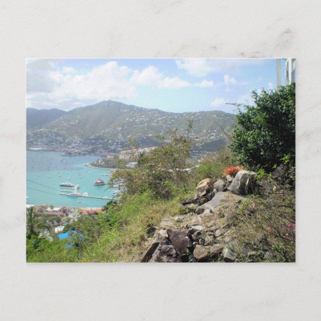 St. Thomas, USVI Postcard (Front)