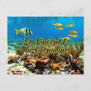 St. Vincent & The Grenadines Postcard