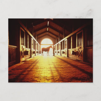Stable-Hands Postcard