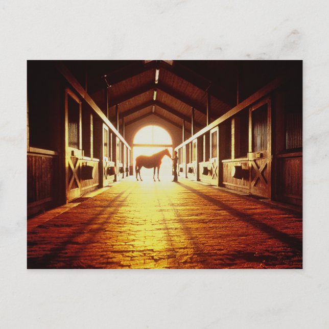 Stable-Hands Postcard (Front)