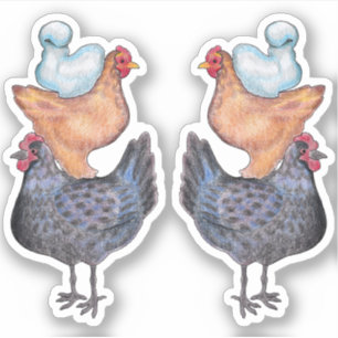 Stack of Chickens