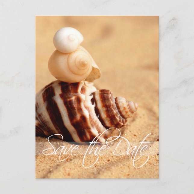 Stack of Conch Shells Save the Date Postcard (Front)