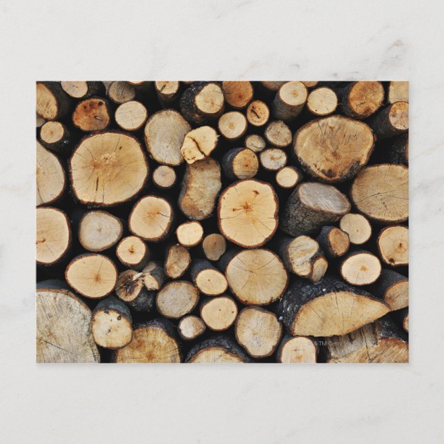 Stack of tree logs postcard (Front)