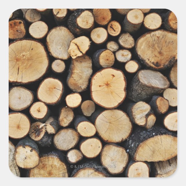 Stack of tree logs square sticker (Front)