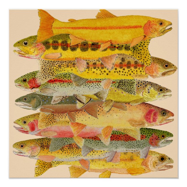 Stacked Deck- Trout Poster (Front)