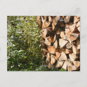 Stacked Firewood Nature Photography Postcard