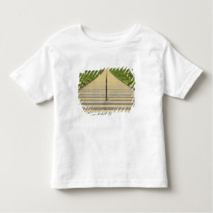 Stadium stairway between rows of green seats toddler T-Shirt