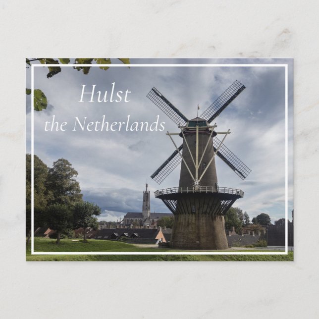 Stadsmolen Windmill, Hulst, the Netherlands Postcard (Front)