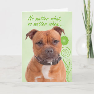 Staffie Love and Support Card