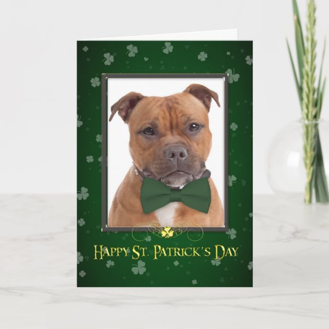 Staffie St. Patricks Day Card (Front)