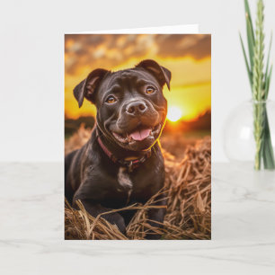 Staffie Thanksgiving Holiday Card