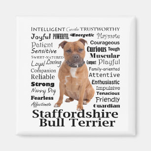 Staffie Traits Magnet