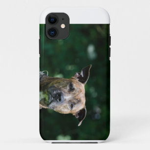 stafford-5.png iPhone 11 case