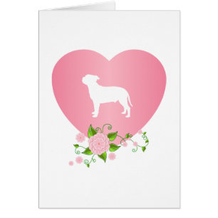 Staffordshire Bull Terrier