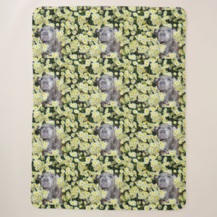 Staffordshire Bull Terrier And Yellow Daisies, Sherpa Blanket
