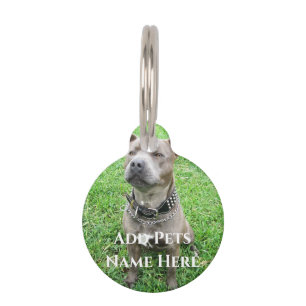 Staffordshire Bull Terrier At Attention,  Pet Tag