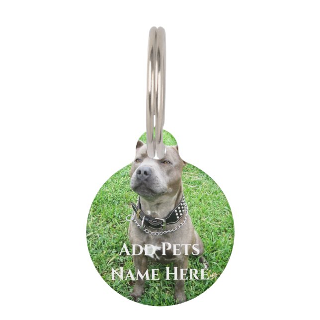 Staffordshire Bull Terrier At Attention,  Pet Tag (Front)