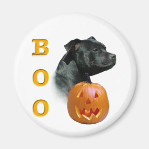 Staffordshire Bull Terrier Boo Magnet