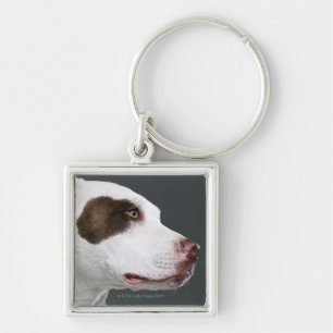 Staffordshire bull terrier, close-up key ring