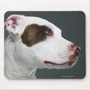 Staffordshire bull terrier, close-up mouse pad