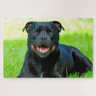 Staffordshire Bull Terrier Dog. Jigsaw Puzzle