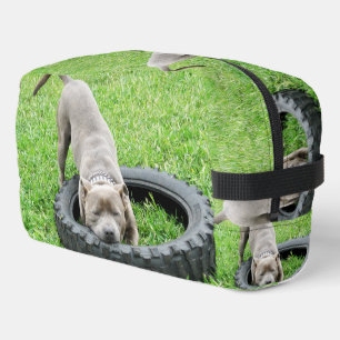 Staffordshire Bull Terrier,  Dopp Kit