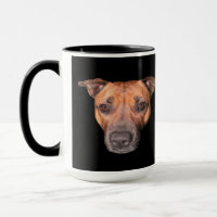 Staffordshire Bull Terrier Face,