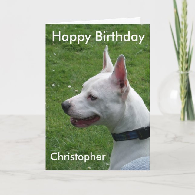 Staffordshire Bull Terrier Happy Birthday Card (Front)