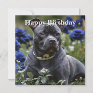 Staffordshire Bull Terrier In Blue Rose Garden,
