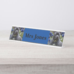 Staffordshire Bull Terrier In Blue Rose Garden, Desk Name Plate
