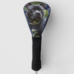 Staffordshire Bull Terrier In Blue Rose Garden,  Golf Head Cover