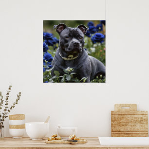 Staffordshire Bull Terrier In Blue Rose Garden, Poster