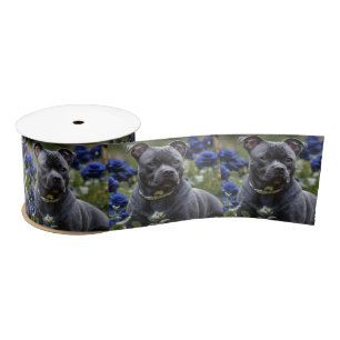 Staffordshire Bull Terrier In Blue Rose Garden, Satin Ribbon