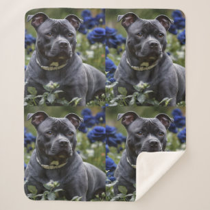 Staffordshire Bull Terrier In Blue Rose Garden, Sherpa Blanket