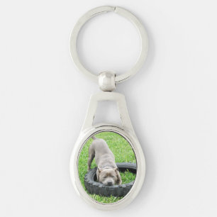 Staffordshire Bull Terrier, Oval Metal Keyring