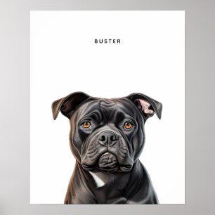 Staffordshire Bull Terrier Personalised Print