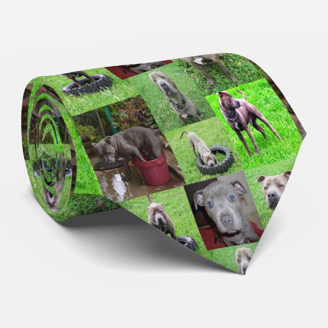 Staffordshire Bull Terrier Photo Collage, Tie (Rolled)